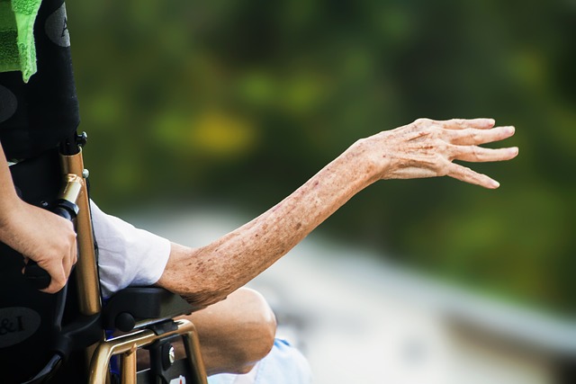 Residents at Springvale Care Home