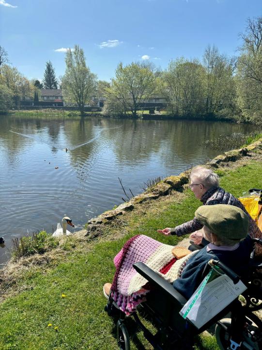 residents-feeding-the-swans