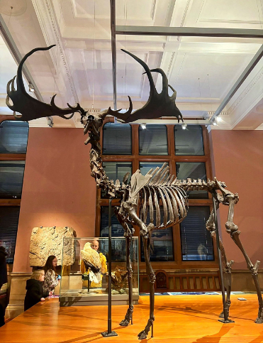 Resident outing to Kelvingrove Art Gallery